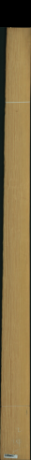 borovice karolina, 19,0080