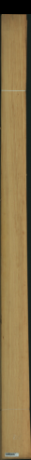borovice karolina, 19,5840