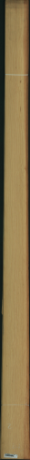 borovice karolina, 19,0400