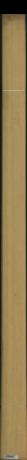 borovice karolina, 18,4960