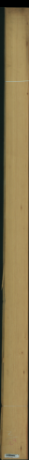borovice karolina, 18,7680