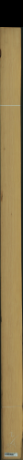 borovice karolina, 14,7840