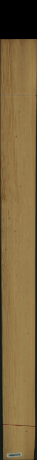 Carolina Pine, 3,8500