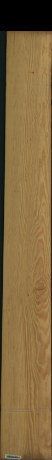 Carolina Pine, 9,4080