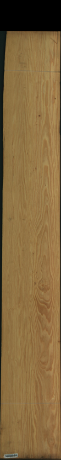 Carolina Pine, 11,0880