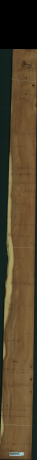 Yew Wood, 12.0360