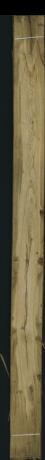 Dub - staré drevo, 14,0544