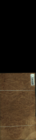 Hrast s pegami, 1,9968