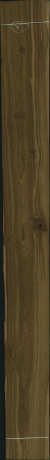 dub sukatý antik, 28,2200