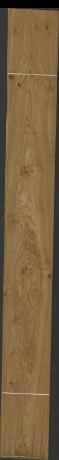 dub sukatý, 33,1840