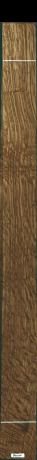 Dąb angielski brązowy, 20,4960