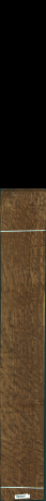 Stejar brun englezesc, 16,0000