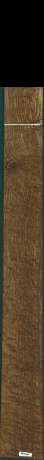 Stejar brun englezesc, 19,9680