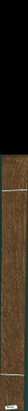 Stejar brun englezesc, 10,8800
