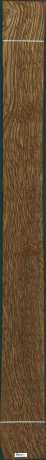 Stejar brun englezesc, 25,6000