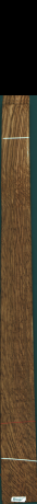 Stejar brun englezesc, 14,0400