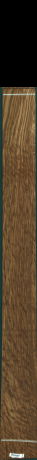 Dąb angielski brązowy, 16,3800