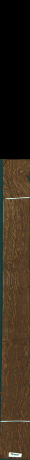 Stejar brun englezesc, 5,3550