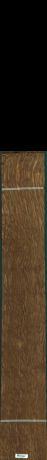 Dąb angielski brązowy, 18,5760