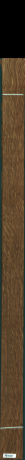 Stejar brun englezesc, 12,5440