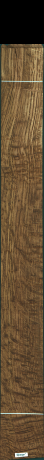 Stejar brun englezesc, 23,2000
