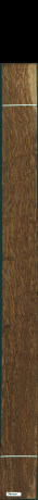 Stejar brun englezesc, 17,9200