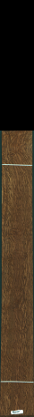 Stejar brun englezesc, 14,7840