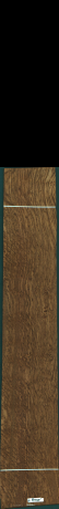 Stejar brun englezesc, 19,3500