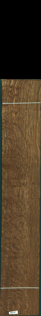 Stejar brun englezesc, 26,8800