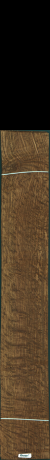 Stejar brun englezesc, 21,3440