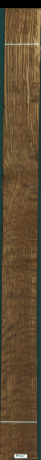 Stejar brun englezesc, 16,6320