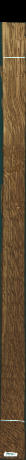 Stejar brun englezesc, 13,6640