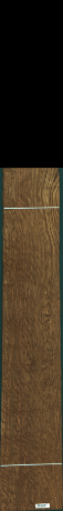 Stejar brun englezesc, 22,0160