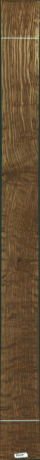 Stejar brun englezesc, 10,3040