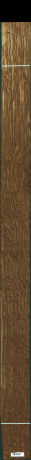 Stejar brun englezesc, 17,5680