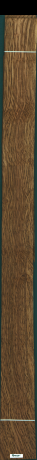 Stejar brun englezesc, 16,8055