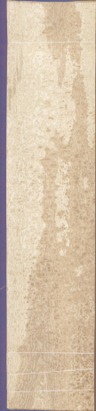 Ясен със сърцевина, 43,1880