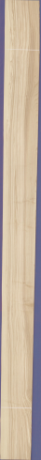 Olive Ash, 16.8480