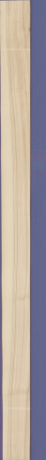 Olive Ash, 14.9760