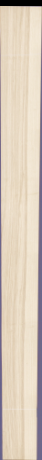 Olive Ash, 28.6440