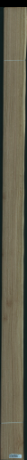 Eukaliptus, 16,8000