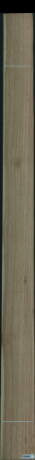 Eukaliptus, 23,1840
