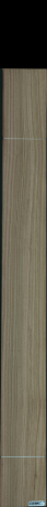 Eukaliptus, 19,1360