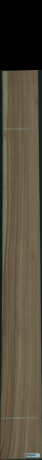 Eukaliptus, 21,5040