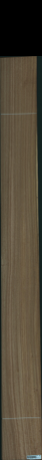 Eukalyptus, 22,2720