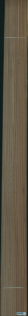 Eukaliptus, 24,2880