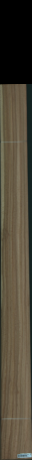 Eukalyptus, 15,5520