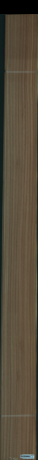 Eukalyptus, 21,5040