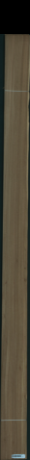 eukalyptus, 17,1360