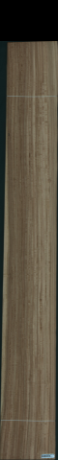 eukalyptus, 33,7280